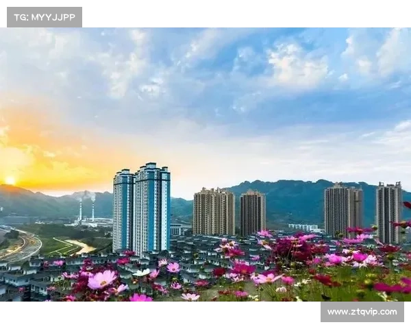 精准布局落地操作实用指南助力高效规划与可持续发展路径 精准布局落地操作实用指南助力高效规划与可持续发展路径